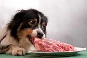 Мясо для собаки в Москве