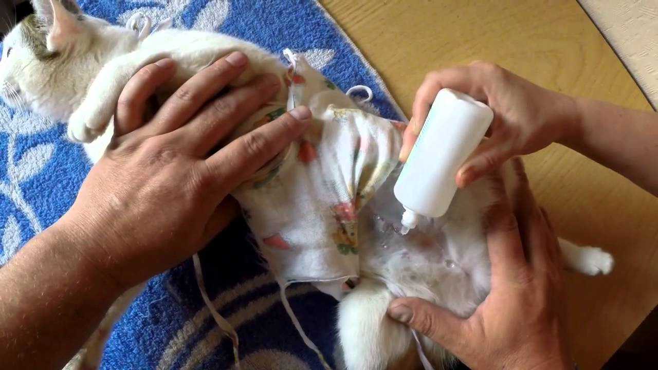 Реабилитация после удаления грыжи