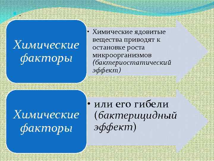 Потеря обоняния: причины и симптомы, почему пропало, лечение – эл клиника