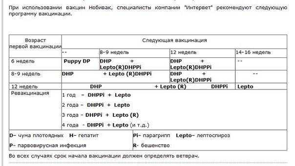 Схема вакцинации собак нобиваком