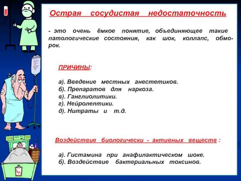 7 причин сердечной недостаточности у собак (причины, механизм развития, классификация стадий, диагностика и лечение)