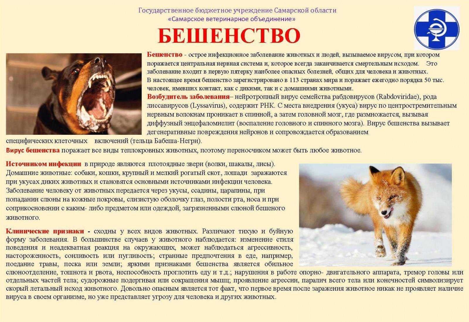 Укусы животных