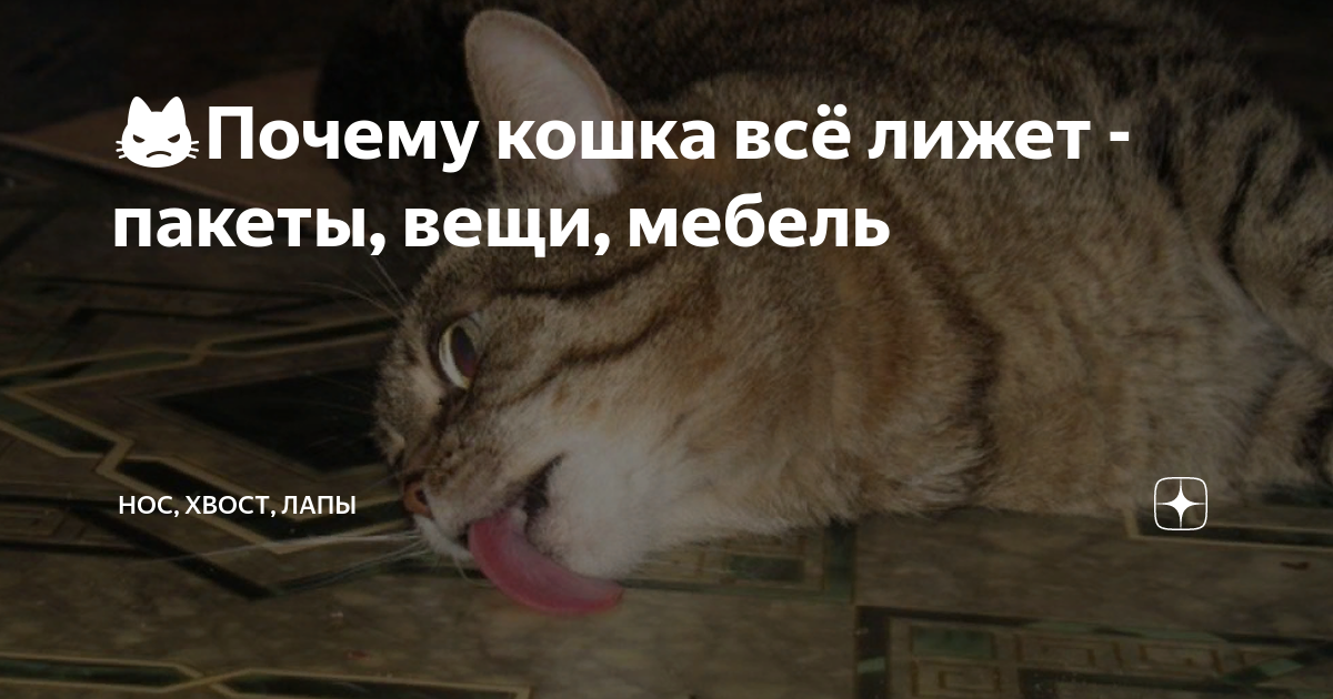 Трихоцефалез — симптомы, диагностика и лечение при заражении власоглавом | университетская клиника