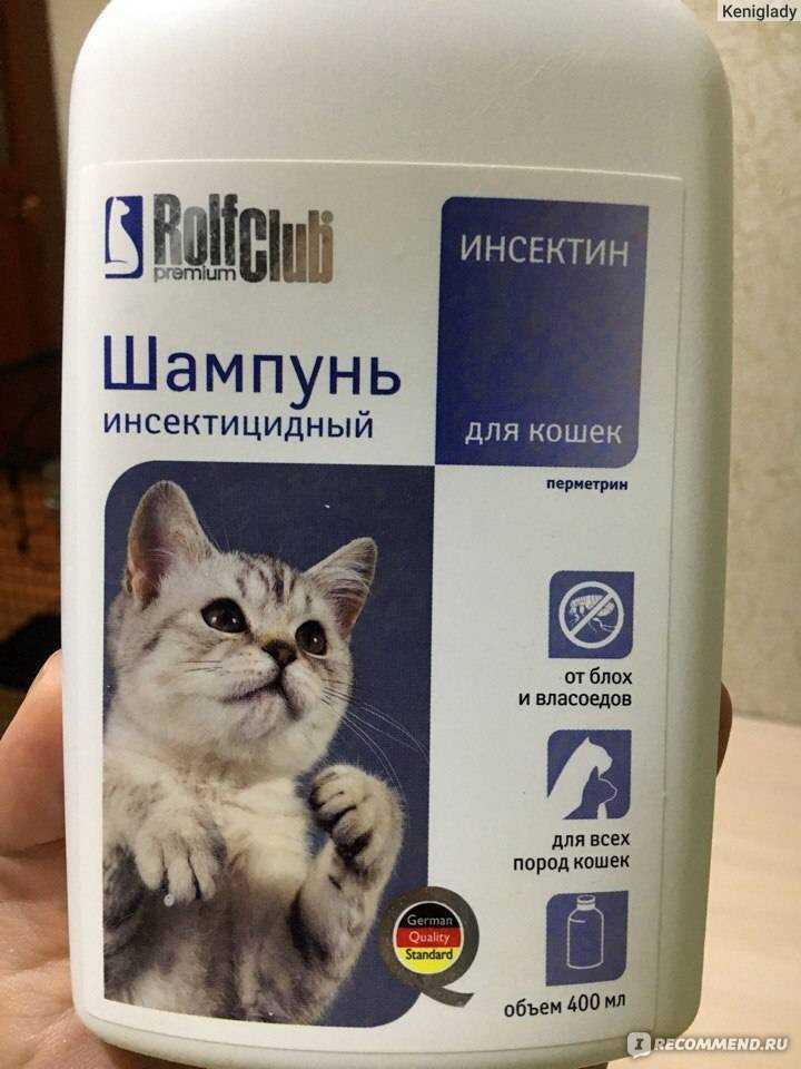 Шампунь от блох для кошек: как выбрать, какой лучше, как часто можно мыть котенка, как действует, сколько стоит