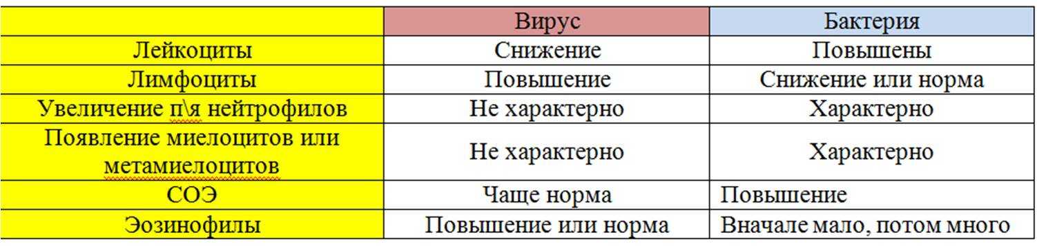 Грибковая инфекция на лапах у собак: симптомы, причины и методы лечения