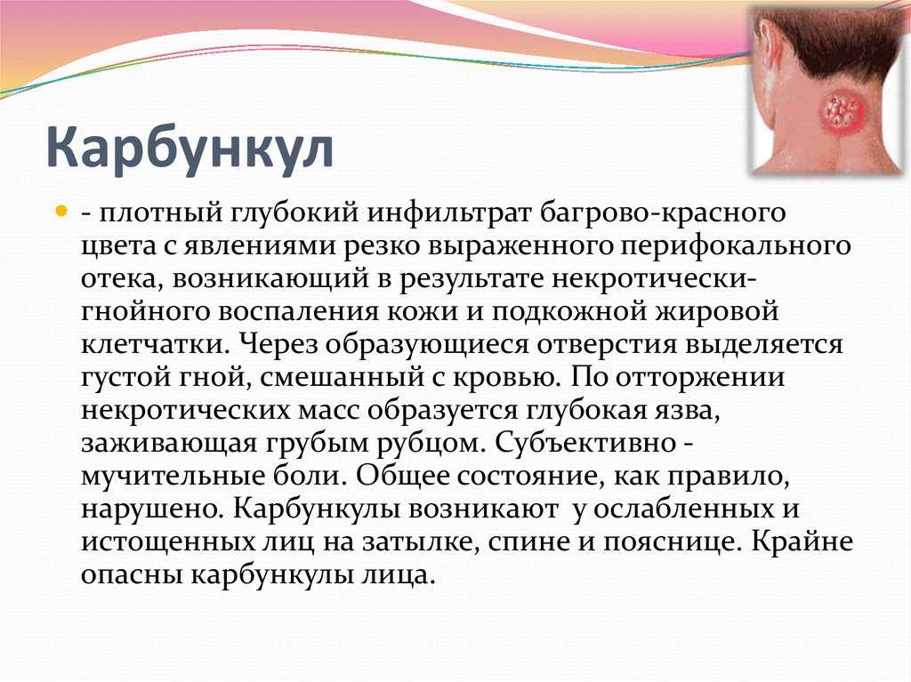 Абсцесс у собаки: симптомы и лечение, терапия с помощью антибиотиков и других препаратов при нарыве мягких тканей и других, чем лечить дома, удаление