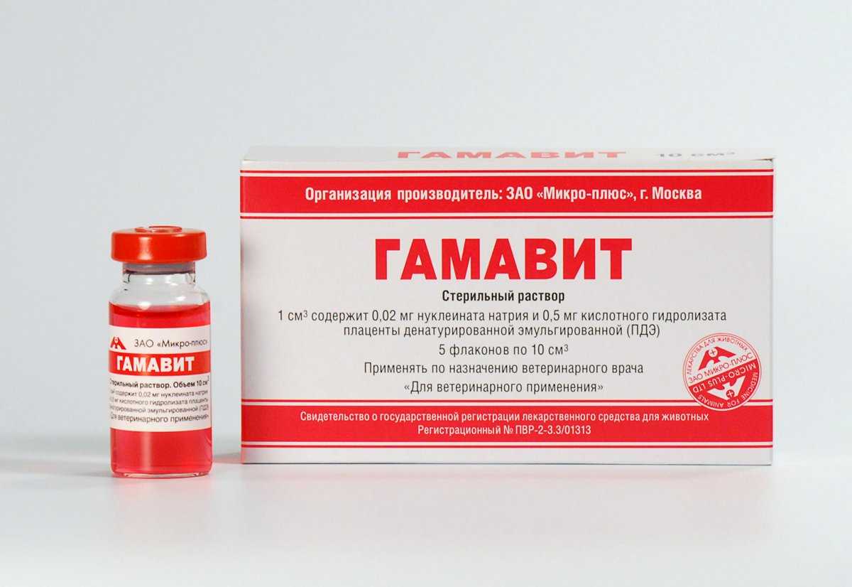 Подробно про витамины гамавит для собак. правильно используем лекарство!