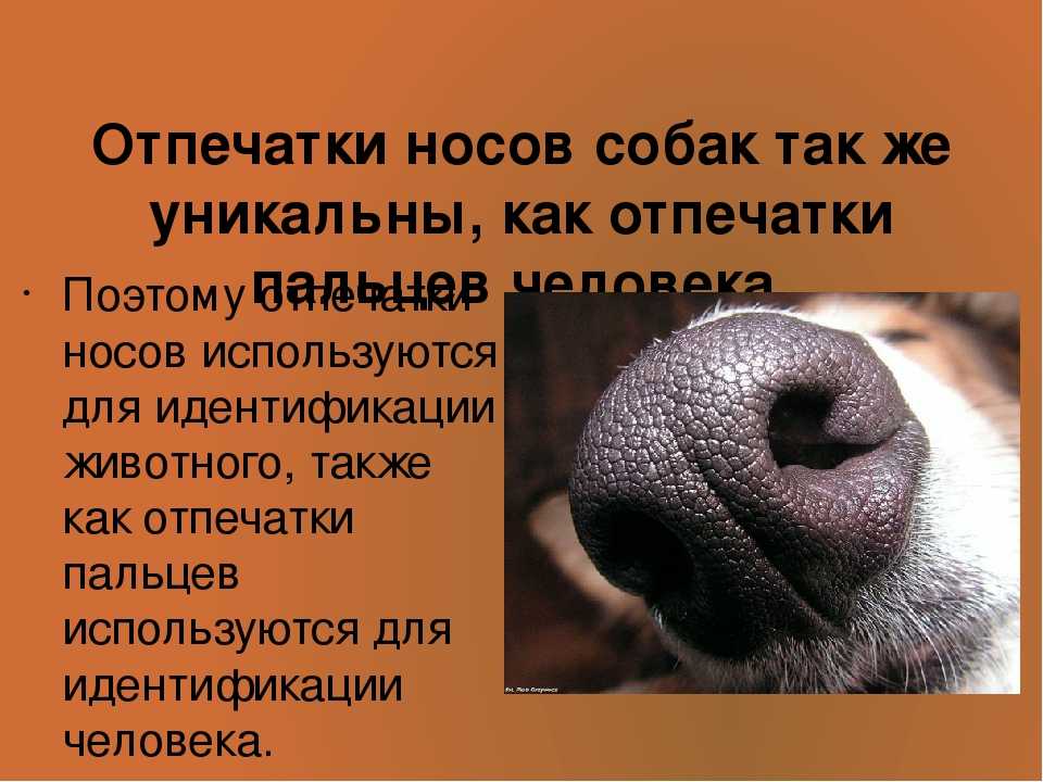 Почему вы чихаете: чихание — симптом заболеваний * клиника диана в санкт-петербурге