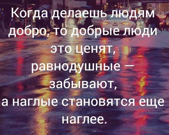 Вся нужная информация о эстонце вас ждет в этом отзыве!  – отзывы про эстонскую гончую