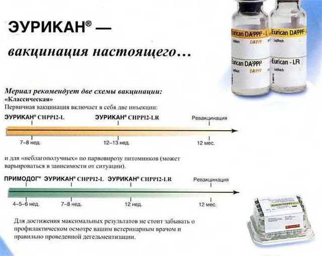 Нобивак схема вакцинации щенков