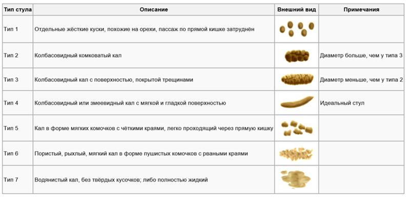 Копрофагия: почему собака ест экскременты и что делать | dogkind.ru