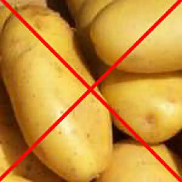 Можно собаке вареную картошку. Картофель запрещен. Картошка запрещена. Котик картофель. Вареный картофель для животных.