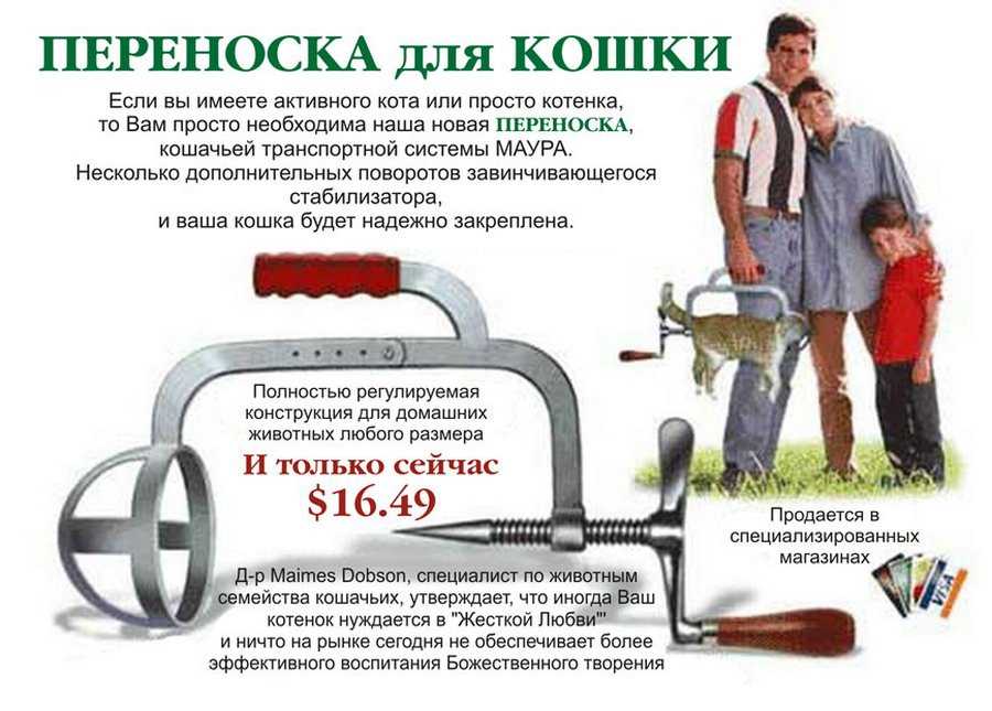 Как посадить кошку в переноску| hill's pet