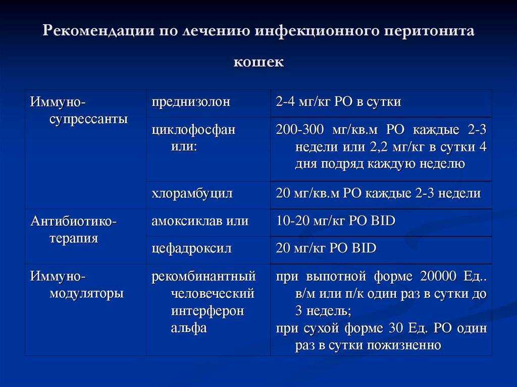 Инфекционный перитонит у кошек – это серьезное заболевание, которое может иметь даже летальный исход Каковы причины этого заболевания, как вовремя обнаружить ИПК, а также какие профилактические меры стоит предпринять всем владельцам кошек чтобы избежать э