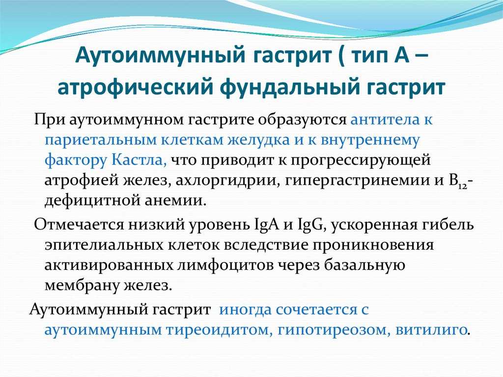 Симптомы гастрита у кошек и лечение алмагелем в домашних условиях, как снять боль при гастрите, как лечить уремический гастрит у кошки