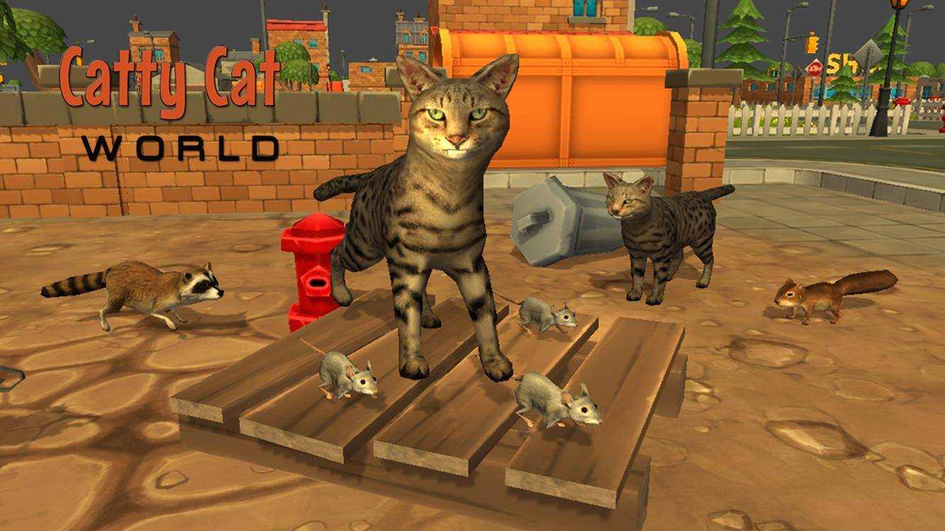 Игры для кошек - во что и как поиграть с кошкой