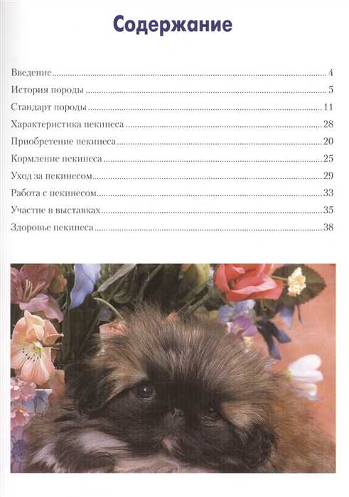 Собака породы пекинес: в какой стране выведена, каково её описание, характеристика, сколько они живут и каким болезням подвержены