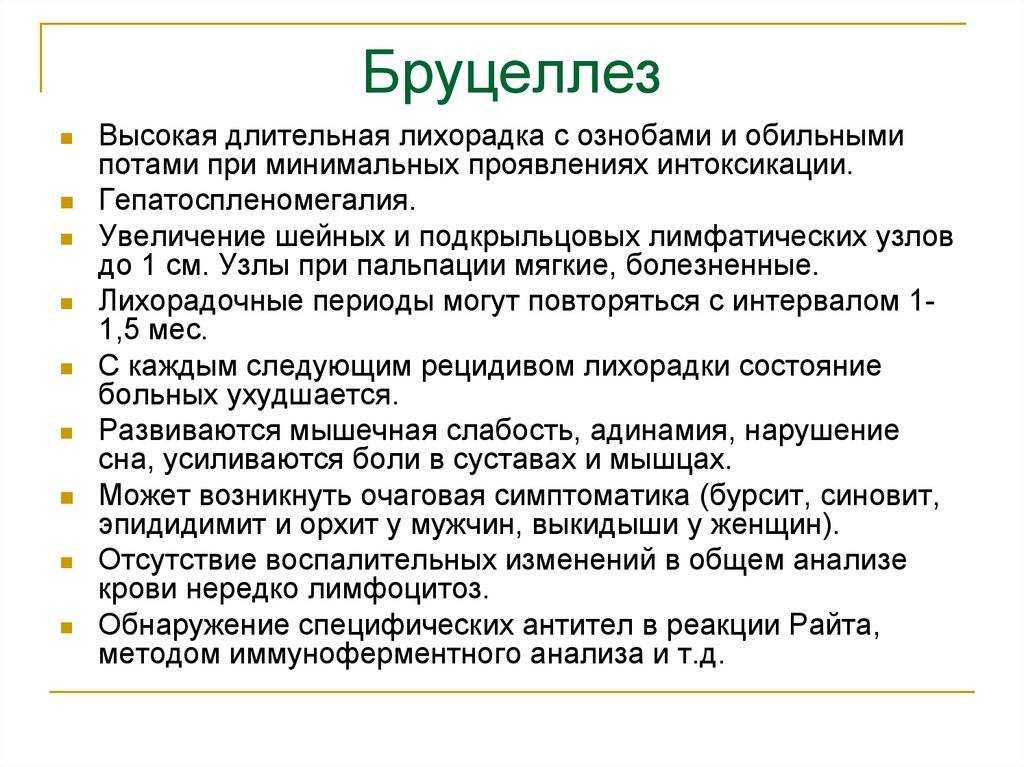 Бруцеллез у собак: симптомы, лечение, опасность для человека