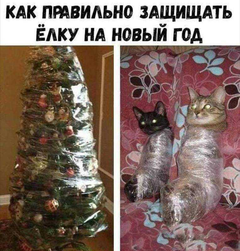 Как защитить новогоднюю елку от домашних питомцев? | блог ветклиники "беланта"