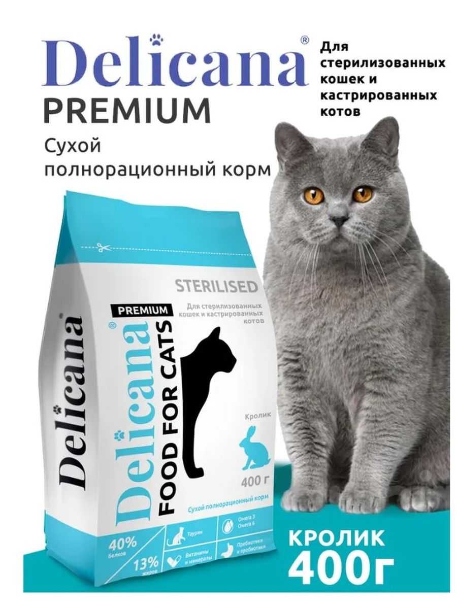 Чем кормить стерилизованную кошку: через сколько после стерилизации, как правильно в домашних условиях, можно ли обычным кормом