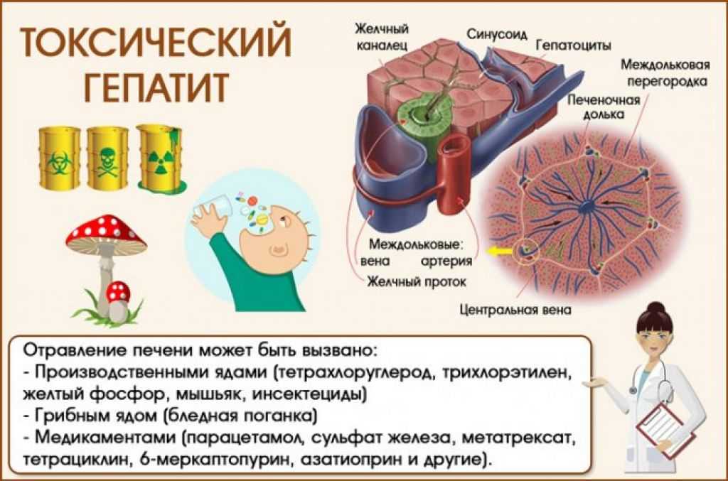 Инфекционный гепатит у собак: что это и как лечитьветлечебница рос-вет