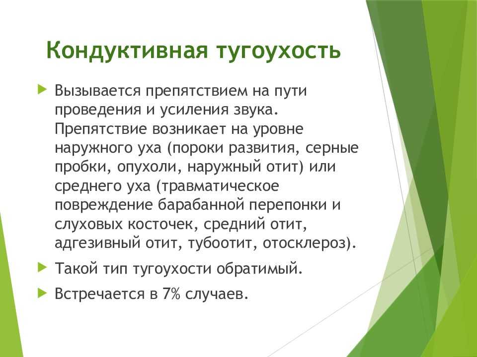Виды глухоты у кошек, особенности врожденной глухоты у белых особей Причины недуга и характерные симптомы В чем состоит лечение глухоты и как ухаживать за глухой кошкой