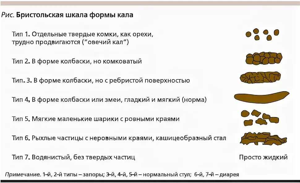 У собаки желтый кал - причины патологии
