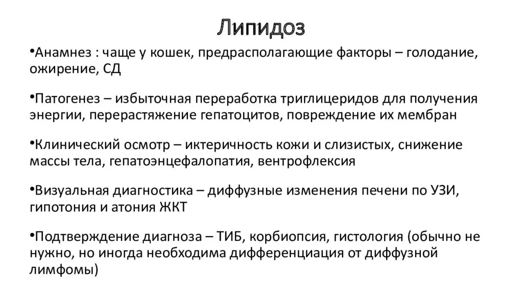 Что такое липидоз печени у кошки, что способствует возникновению болезни, каковы характерные симптомы В чем состоит лечение и профилактика липидоза у кошек, прогноз на выздоровление