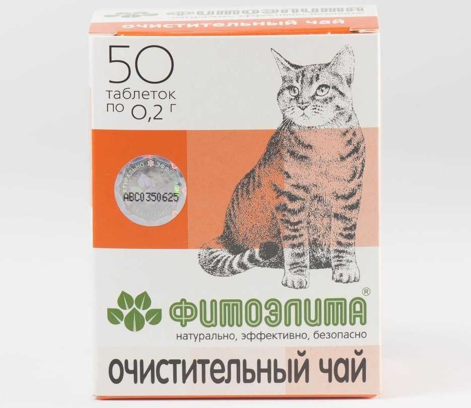 Артрит у кошек: причины, признаки, диагностика и лечение