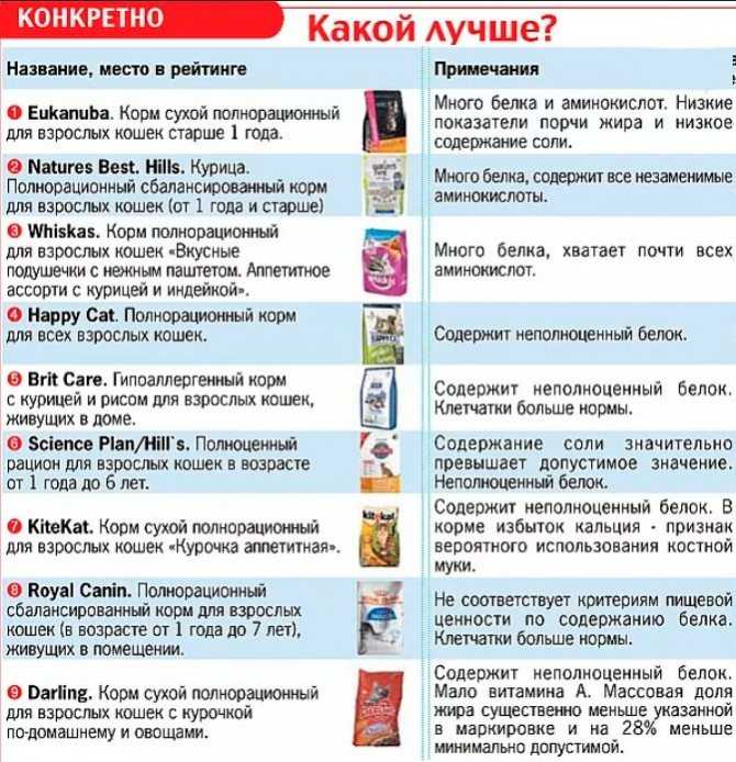 Классы кормов для собак: сравнения и рейтинг