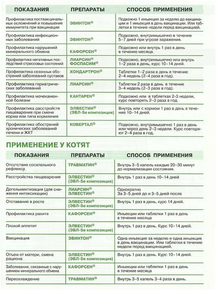 Энтерит у кошек: признаки и лечение заболевания, в том числе у котят, меры профилактики