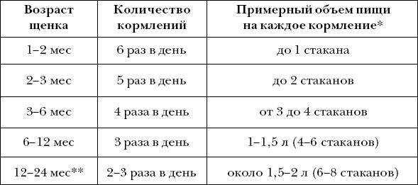 Во сколько месяцев можно брать щенка: советы и рекомендации, рост и вес