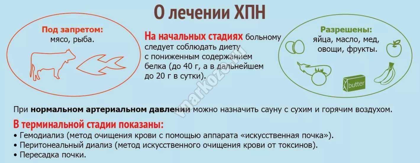 Уретропластика котов как оперативное лечение при осложнениях мочекаменной болезни › белый клык