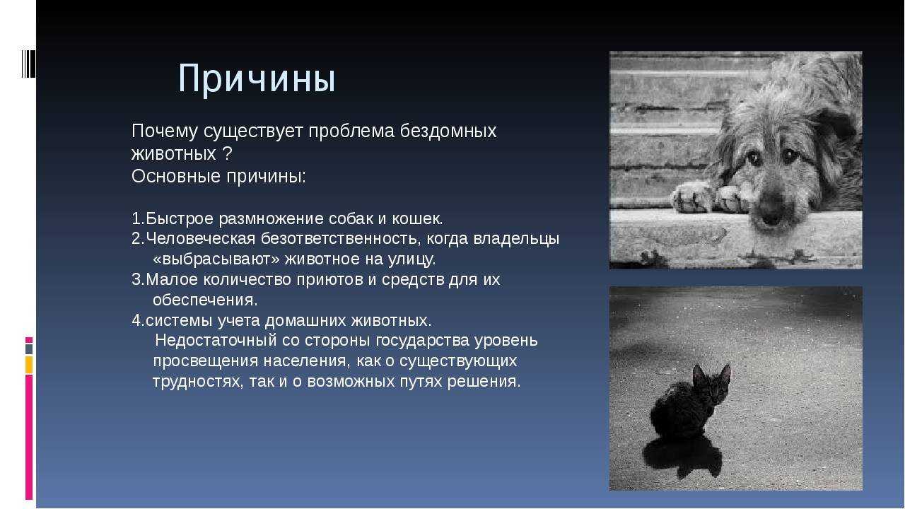 Депрессия — симптомы, виды, методы лечения | университетская клиника