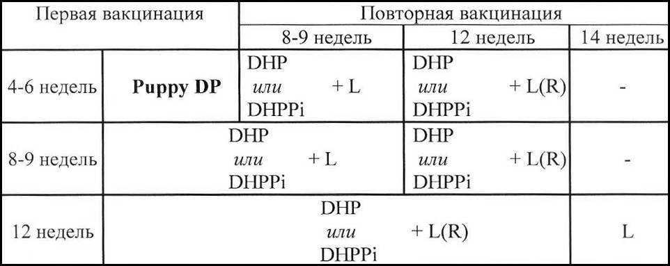 Схема вакцинации биоканом щенка