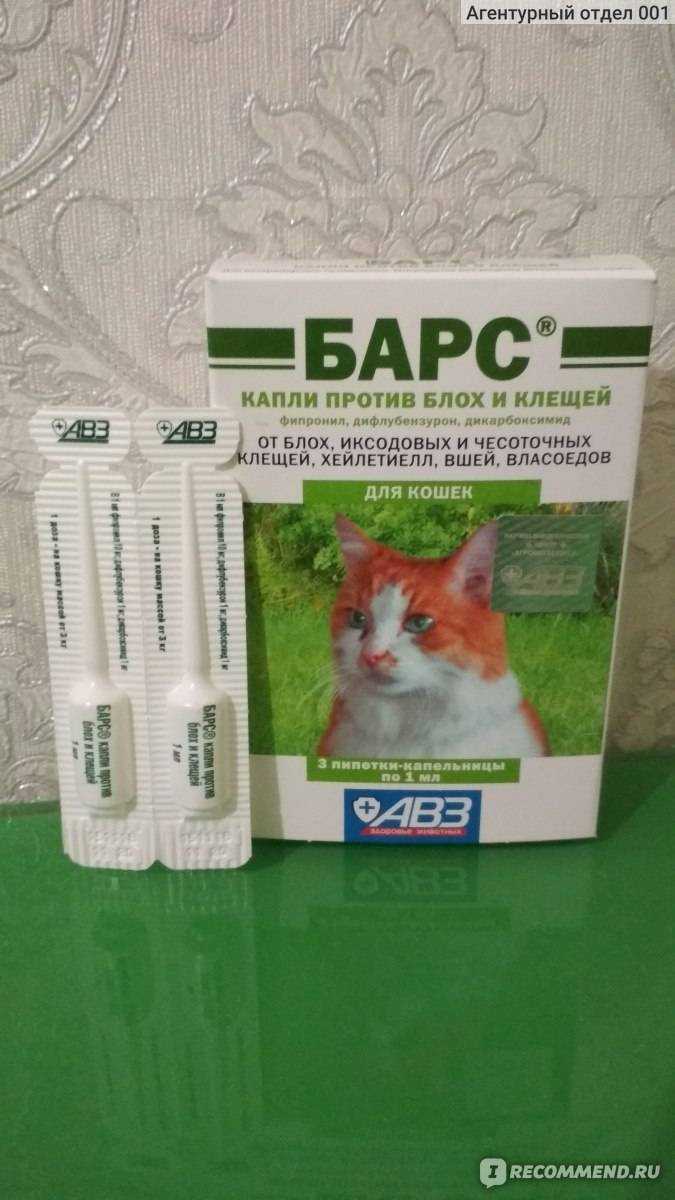 Капли барс от блох для кошек и котят: инструкция по применению