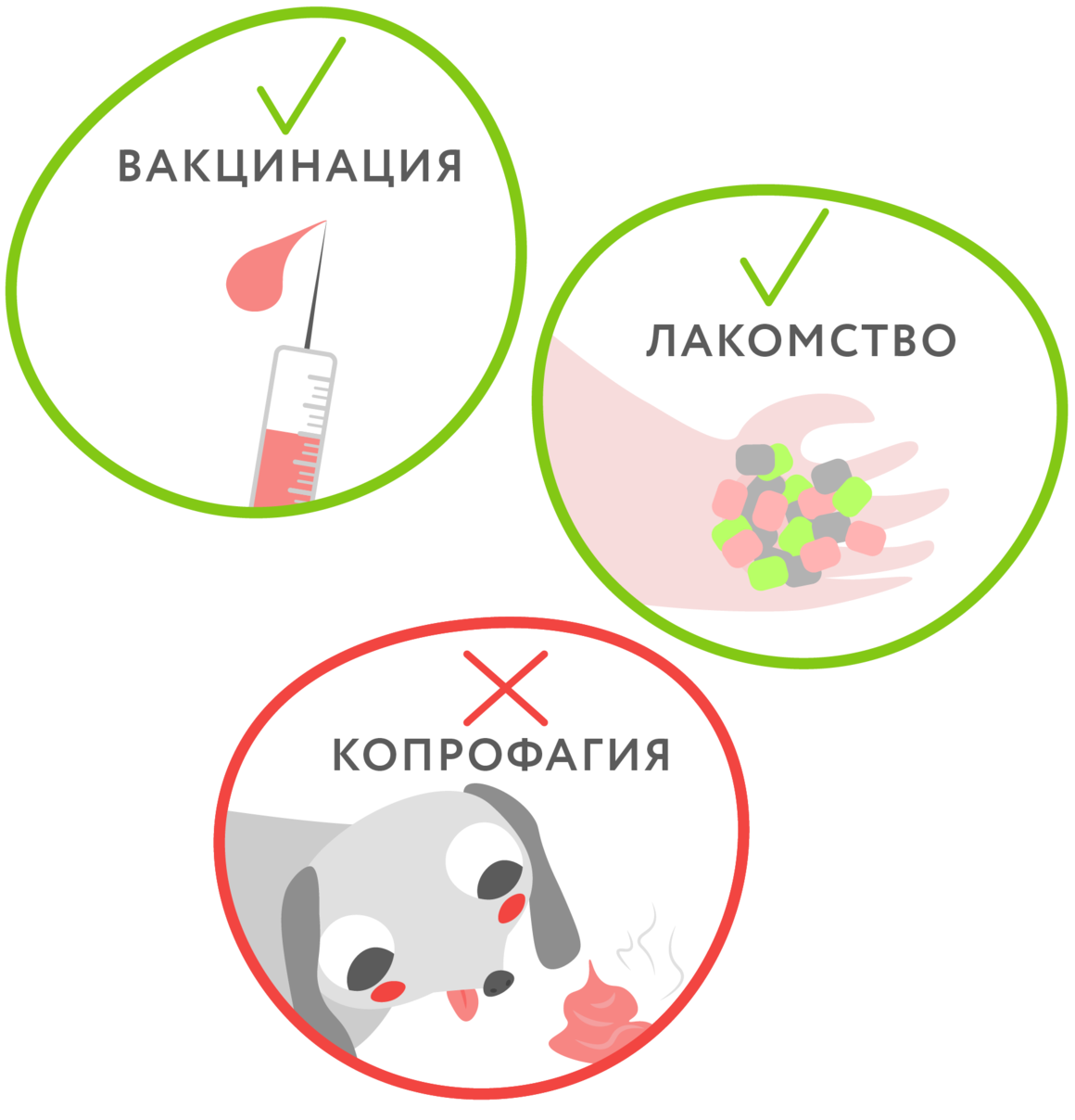 Лечение энтерита у собак схема лечения