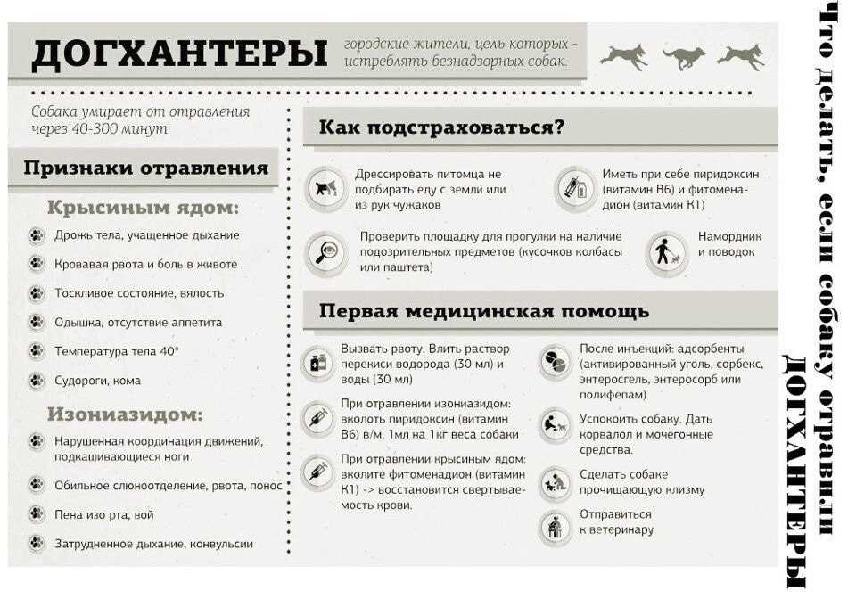 Первая помощь при отравлении белизной: формы, лечение | food and health