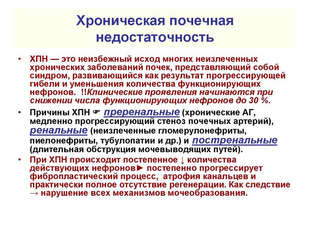 Почечная недостаточность острая и хроническая у кошекветлечебница рос-вет