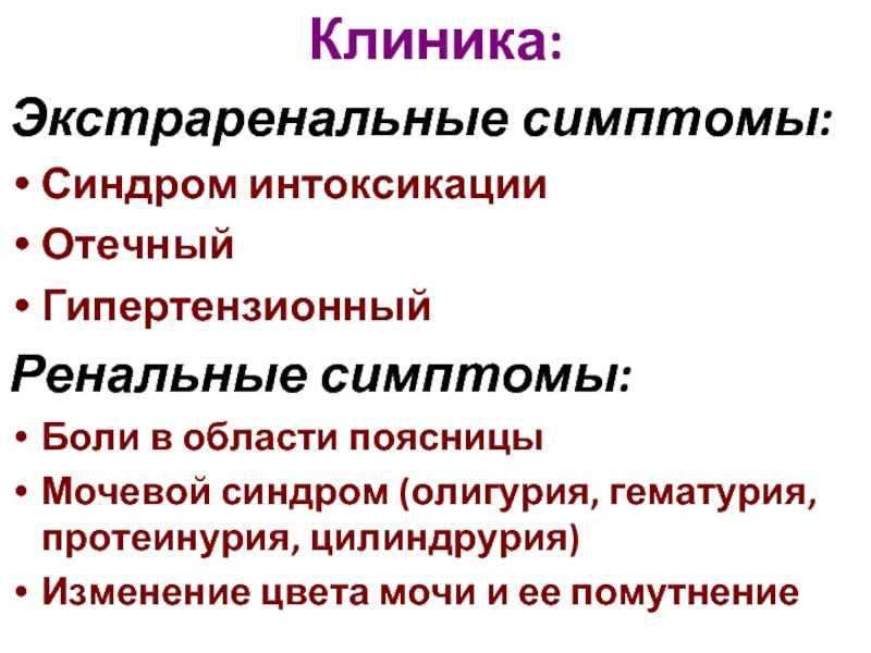 Поликистоз почек у кошек: симптомы, лечение и профилактика | ваши питомцы