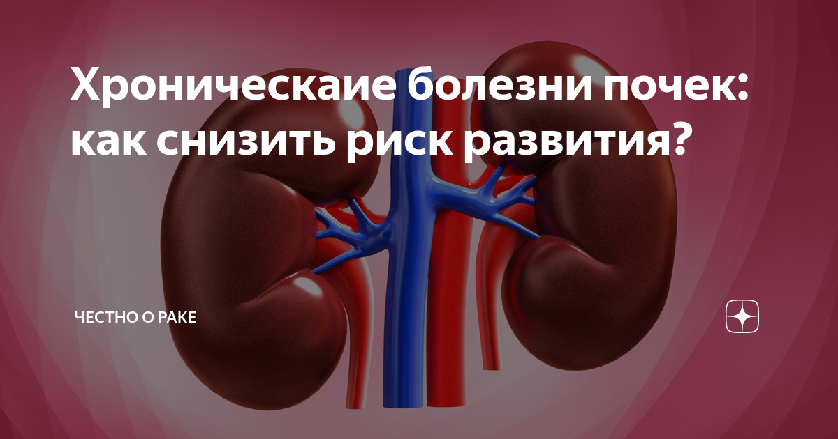 Мочекаменная болезнь у кошек: как диагностировать и лечить недуг