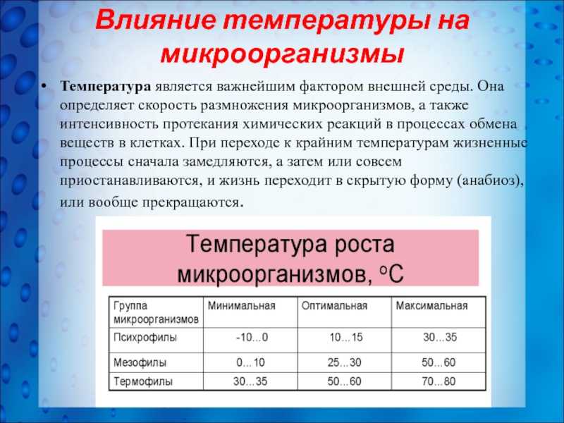 Что делать, если пропало обоняние и не чувствуется запах, какие могут быть причины | клиника «гармония»