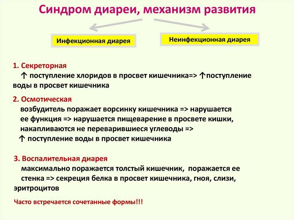 Сколько раз кошка должна ходить в туалет по-маленькому и по-большому?