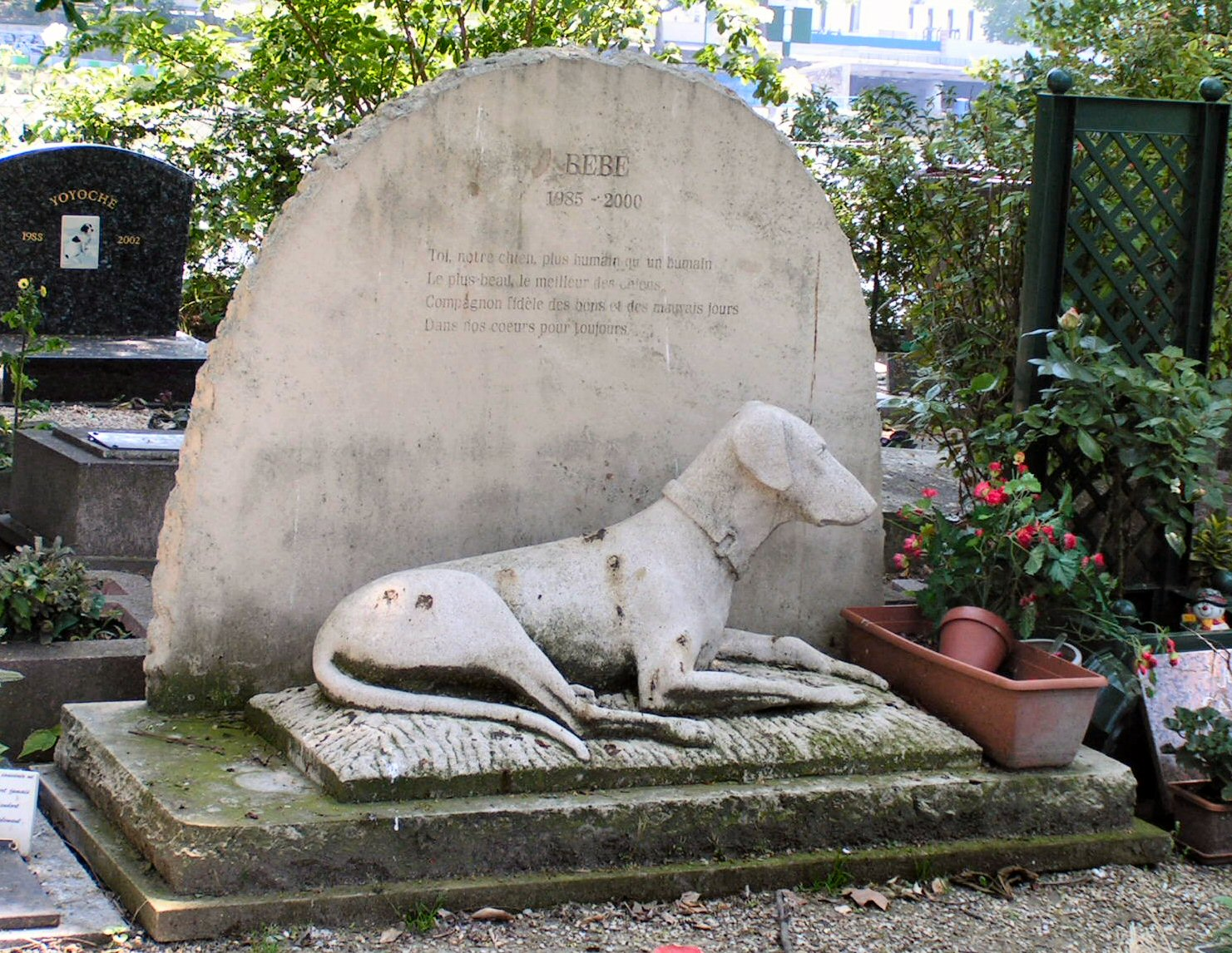 Как похоронить животное. Памятника животным на кладбищах. Кладбище животных в Англии.