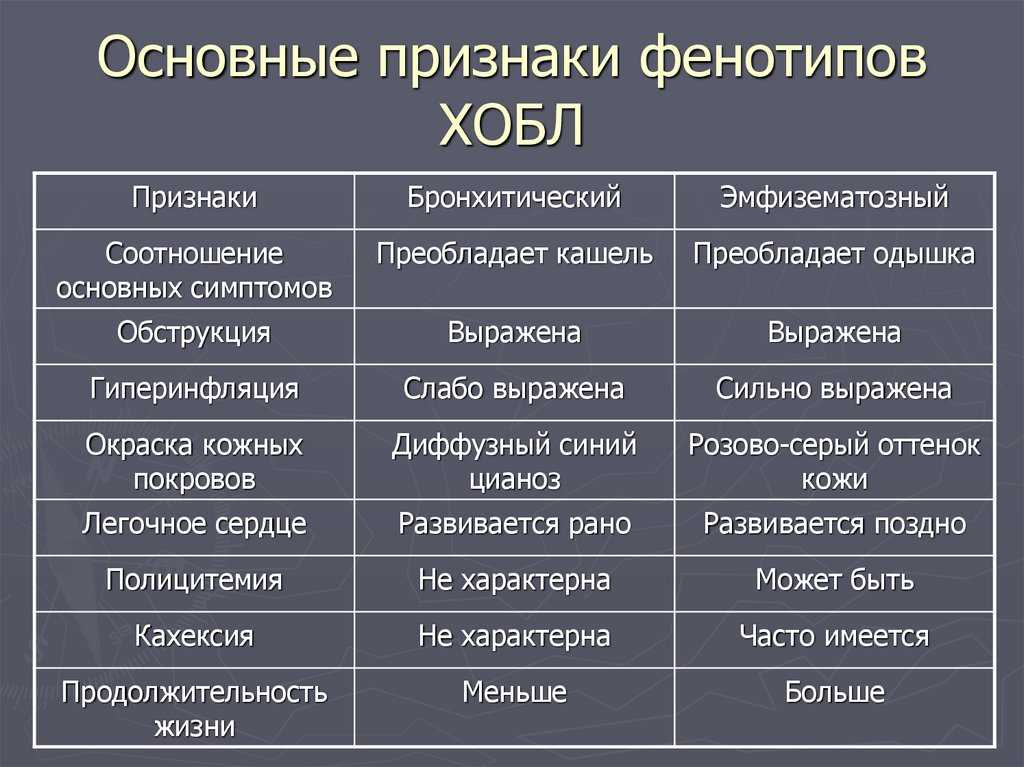 Причины развития и лечение астмы у собак
