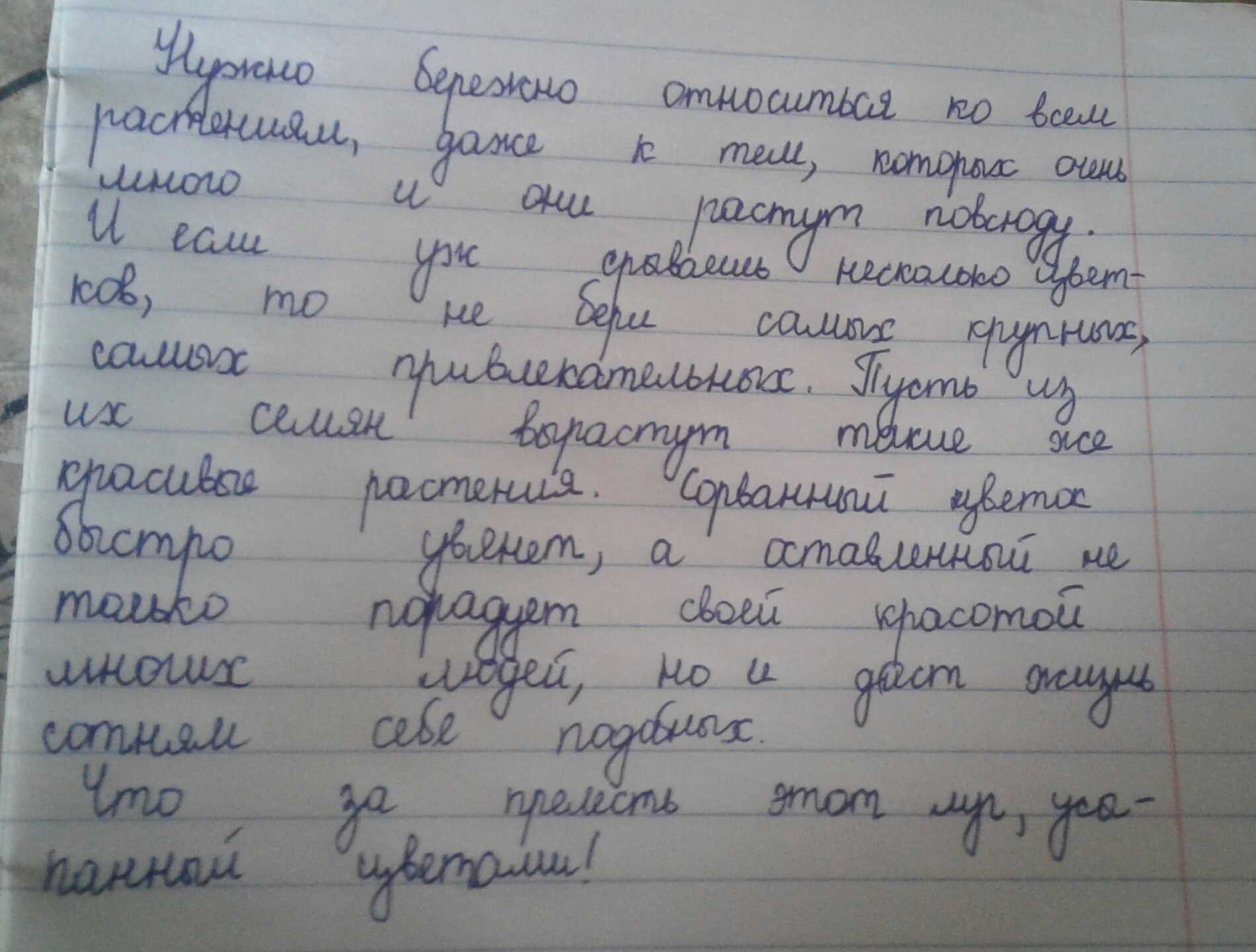 Какую кошку лучше завести для ребёнка в квартире - описание пород