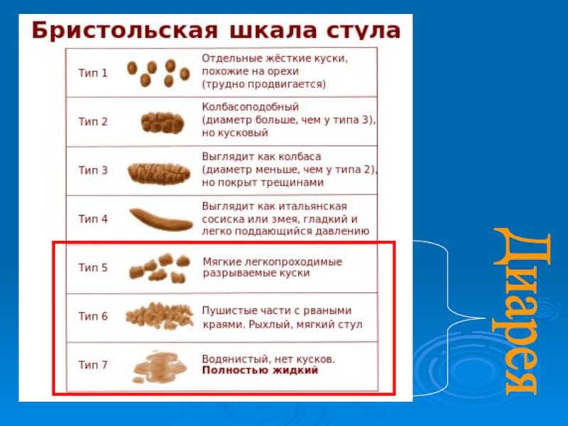 Цвет кала в норме у взрослых фото