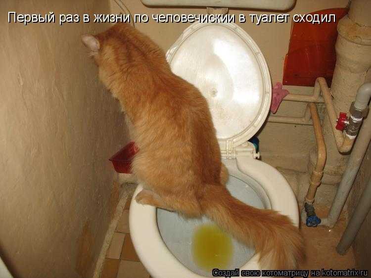 Подагра: симптомы и методы лечения. диета и препараты при подагре.