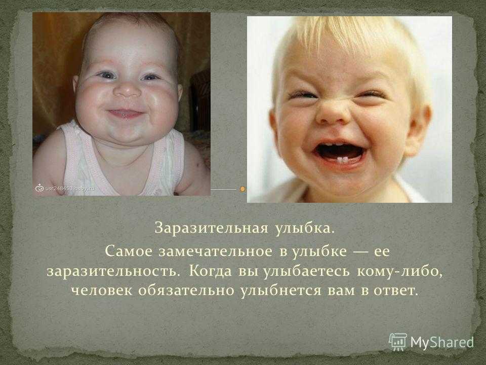 5 улыбающихся пород собак: могут ли собаки улыбаться