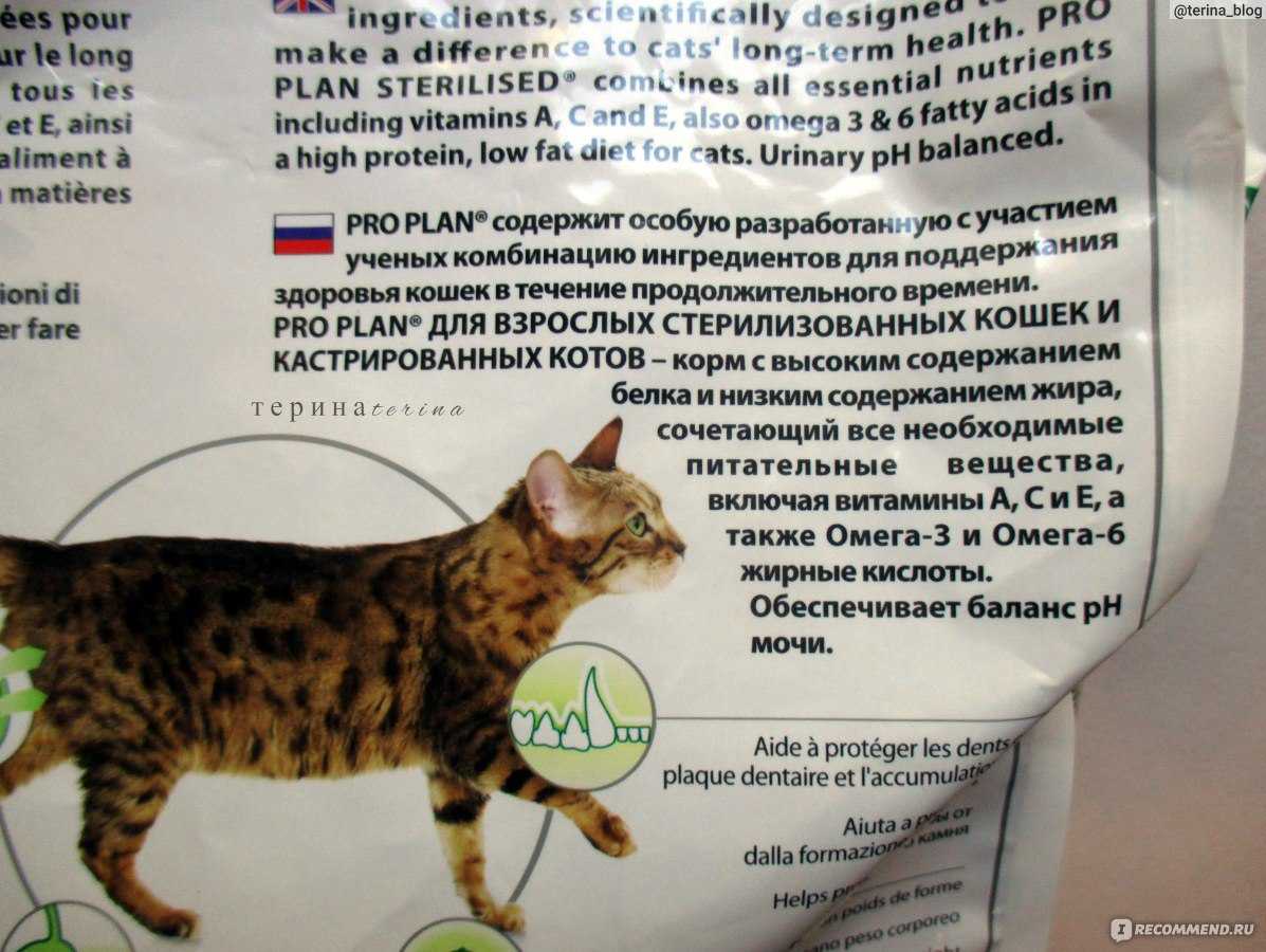 Через сколько после кастрации кота можно кормить. Корм для стерилизованных кошек. Кошачьи корма для стерилизованных кошек. Корма для кота кастрированного. Корм для кошек с высоким содержанием жира.